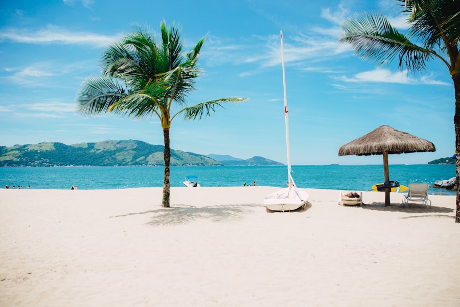 Plage bordée de palmiers